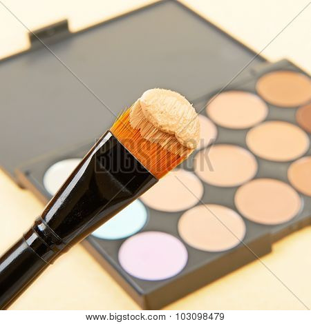brush and cosmetic