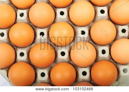 Eggs in box
