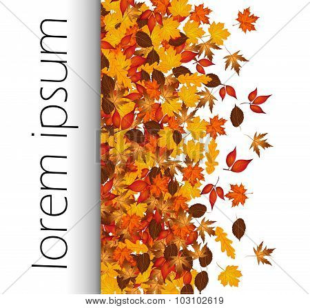 Autumn Letterhead Leaves Background