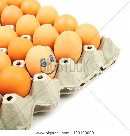box with eggs