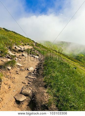 Carpathian Landscape