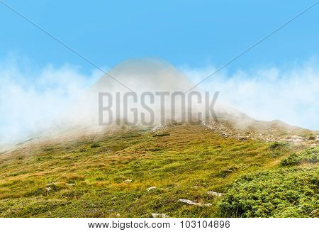 Carpathian Landscape