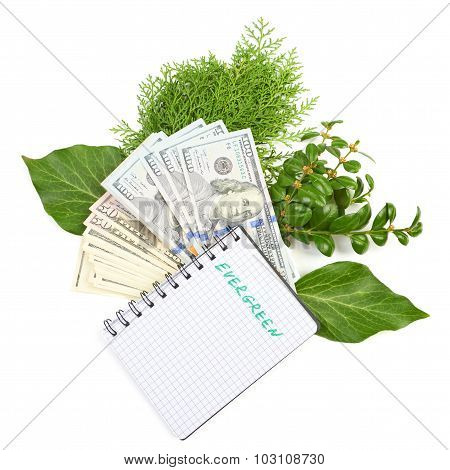 Hundred-dollar bills, a branch of green bushes and notebook on a
