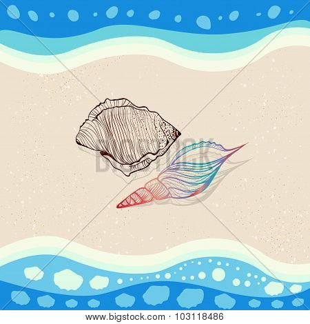 Seashells on sand with sea waves