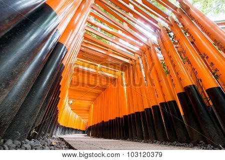 Worms eye view of Torii gates in Fushimi Inari Shrine