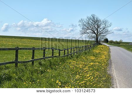 Country Road
