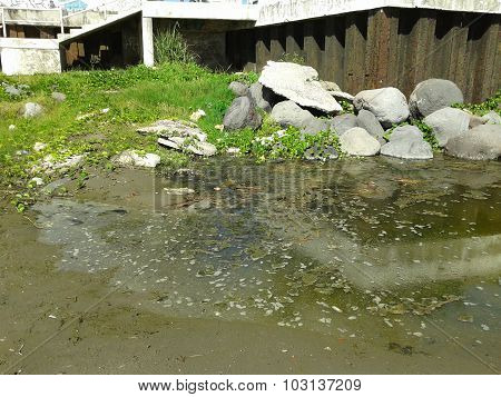 Puddle