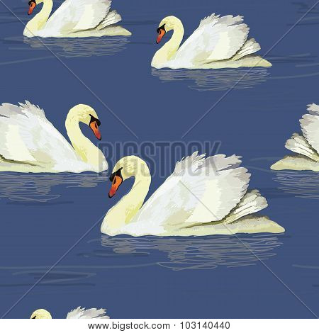 white swan in the water