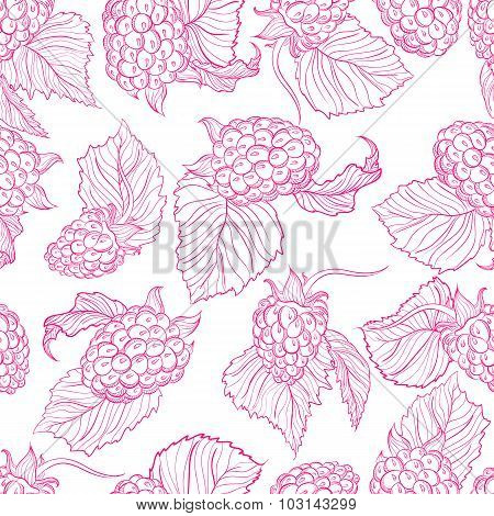 Vector drawing pattern of raspberries