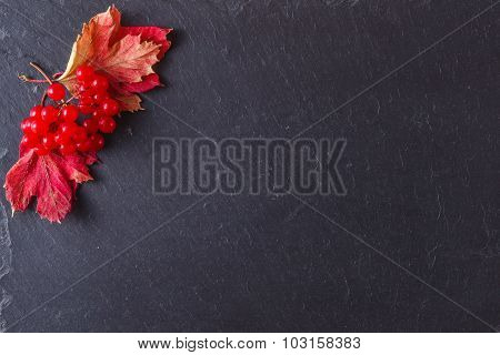 Red Viburnum On Black Slate Background With Message Menu