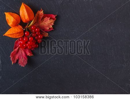 Red Viburnum On Black Slate Background With Message Menu