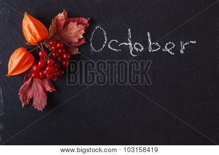 Red Viburnum On Black Slate Background With Message Menu
