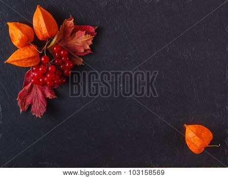 Red Viburnum On Black Slate Background With Message Menu