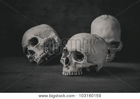 Still Life Photography With Human Skulls On Wood Table