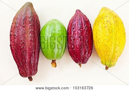 Different Sorts Of Colorful Cocoa Pods On White