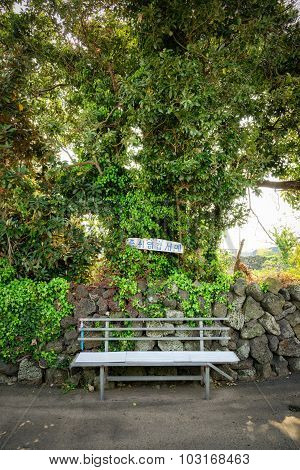 A Bench In The Olle Trail No. 2