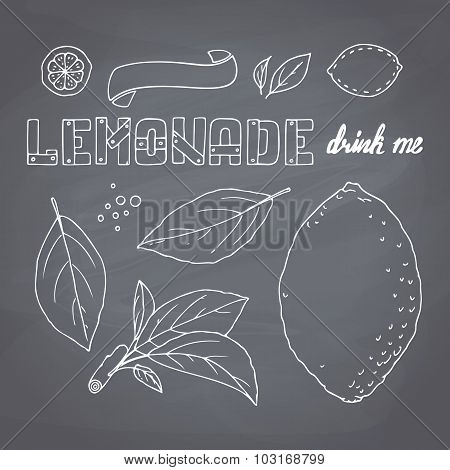Set Of Hand Drawn Lemonade Ingredients On Chalkboard. Dodle Lemon, Leves, Icons, Logo Templates And