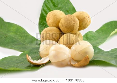 Longong Isolated On White Background