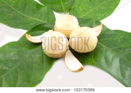 Longong Isolated On White Background