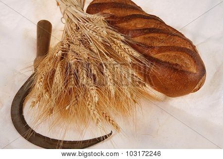 bunch of mown wheat ears with vintage handmade reaper hook sickle and rye dark white french fresh bread loaf on light linen tablecloth