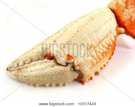 Crab Claw
