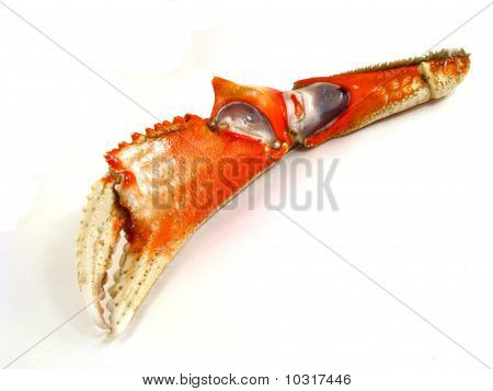 Crab Claw