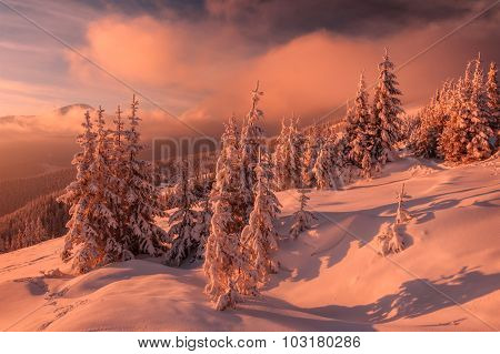 Fantastic orange evening landscape glowing by sunlight. Dramatic wintry scene with snowy trees. Kukul ridge, Carpathians, Ukraine, Europe. Merry Christmas!