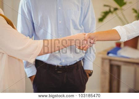 Midsection of clients shaking hands with businesswoman in office