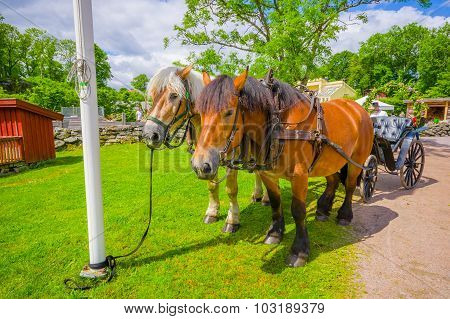 Horse Carriage In Gunnebo House, Gothemburg, Sweden