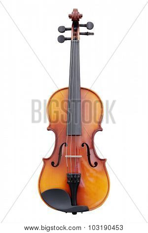 violoncello isolated under the white background