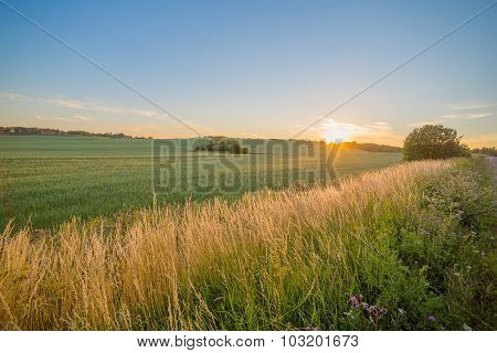 Sinset over the field rural countryside grass land agriculture
