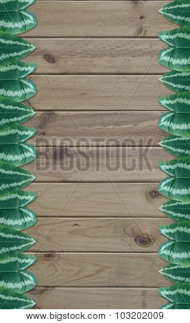 Wood Background And Texture For Wallpaper