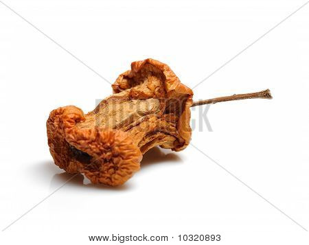 Vecchia mela marcia. Isolated On White Background