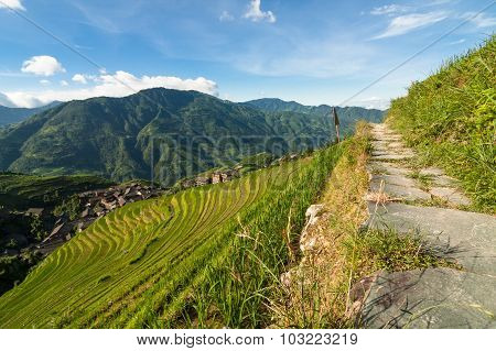 Longsheng rice terraces guilin china landscape