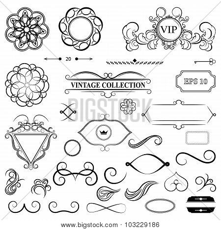 Vintage set decor elements for menu. Elegance old hand drawing s