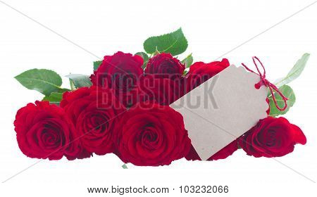 pile of red roses