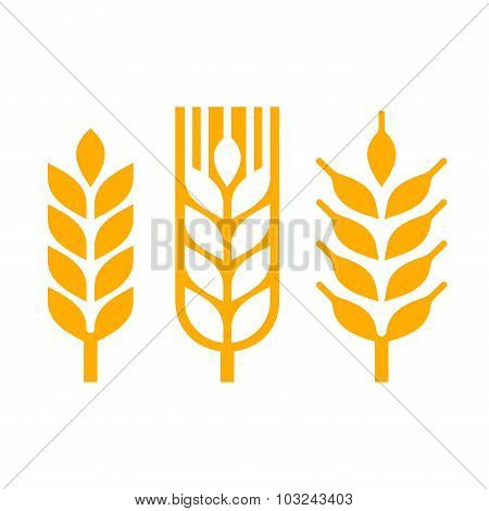 Wheat Ear Spica Icon Set. Vector