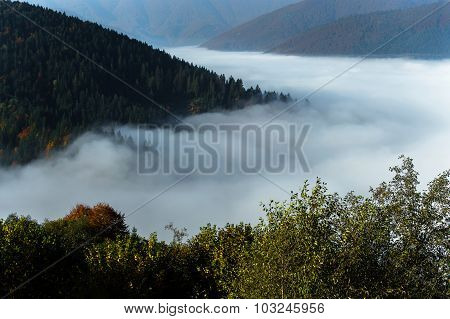 Autumn Landscape