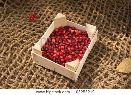 Ripe Red Cranberries In A Box On A Background Of Burlap
