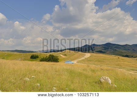 Car on a meadow.