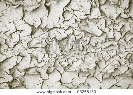 Abstract Dirty Texture Of The Shriveled Sandy Soil