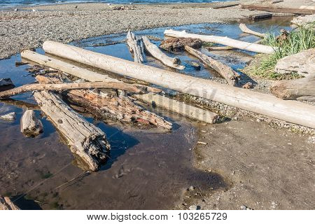 Seahurst Dirftwood Logs 2