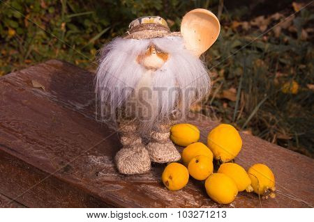 The Magic Little Man With A Beard And A Wooden Spoon On The Cut Tree Near Quince Fruits