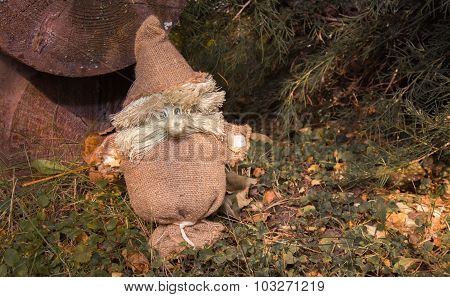 The Magic Little Man From A Sacking Near A Tree Stump