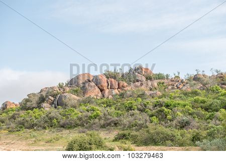 Landscape Between Kharkams And Spoegrivier