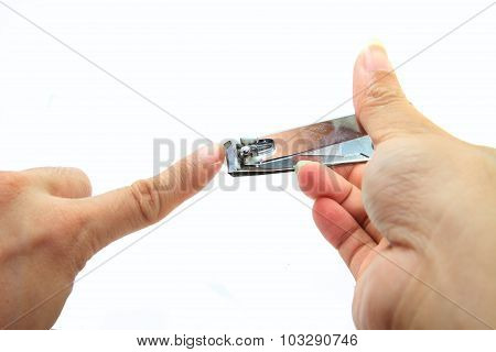 cutting the nails