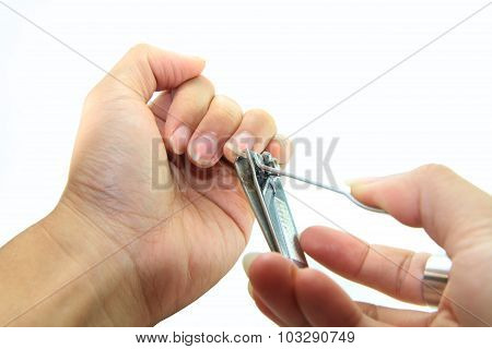 cutting the nails