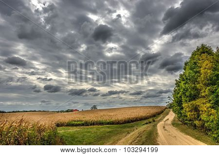 Maryland Country Road In Autumn At Twilight