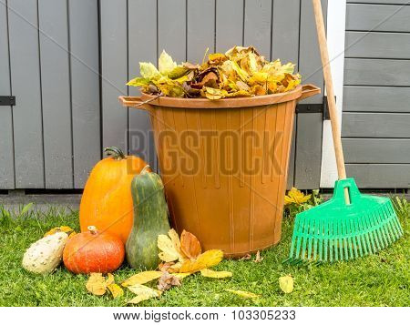 Pile of dead fall leaves dumped into plastic bin, pumpkins and fan rake resting against wooden shed