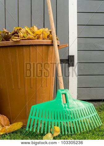Pile of dead fall leaves swept and dumped into plastic bin with fan rake resting against wooden shed